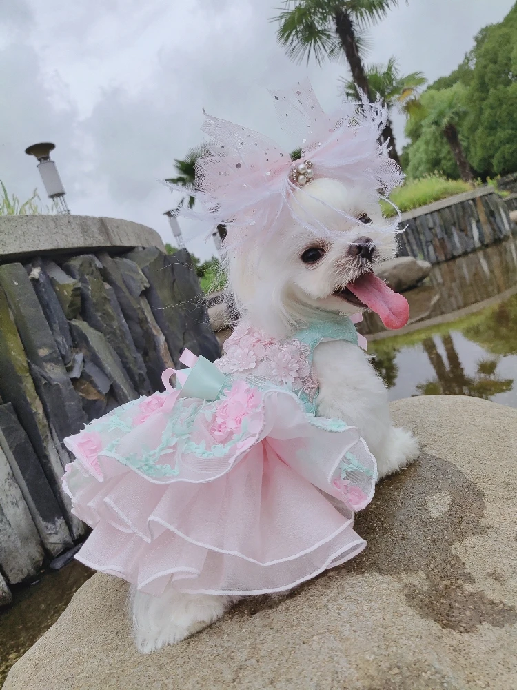 Cheap Vestidos para cães