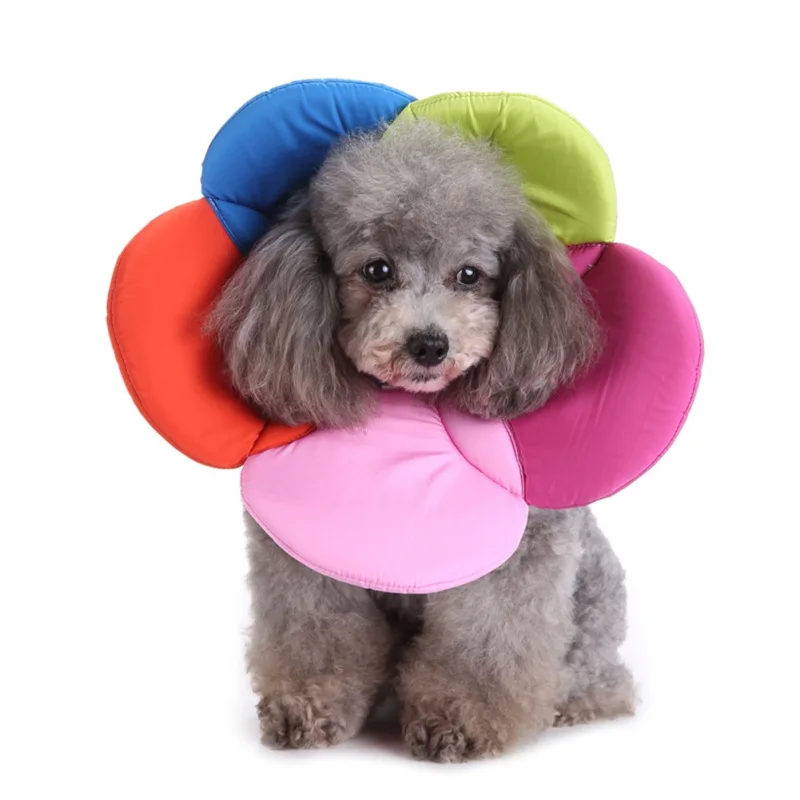 Soft Dog Accessories Recovery font b Pet b font Cone E Collar for Cats Dogs Flower