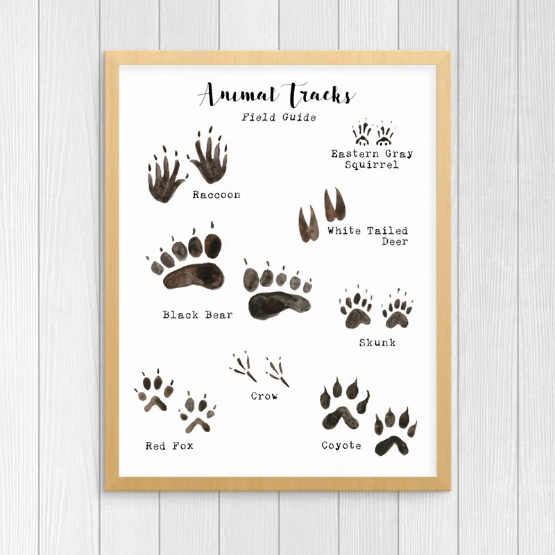 Woodland-Animal-Tracks-Poster-Canvas-Art-Prints-Animal-Tracking-Footprints-Canvas-Painting-Wall-Picture-Rustic-Nature (2)