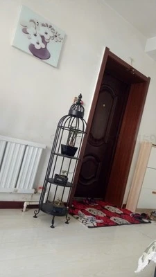 Для гостиной, полка, тип посадки, оригинальность, клетка, моделирование, слой, рама, цветок, многоэтажная деревянная Цветочная стойка - Цвет: sheetblack3838142
