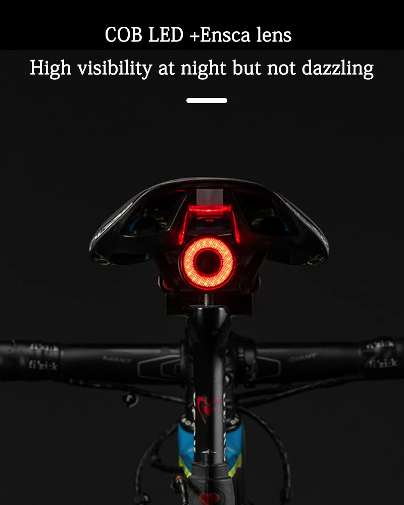 Best ROCKBROS Bike IPx6 Waterproof Smart Brake Sensing Light Auto Start/Stop LED Charging Cycling Taillight Bicycle Light Accessories 4