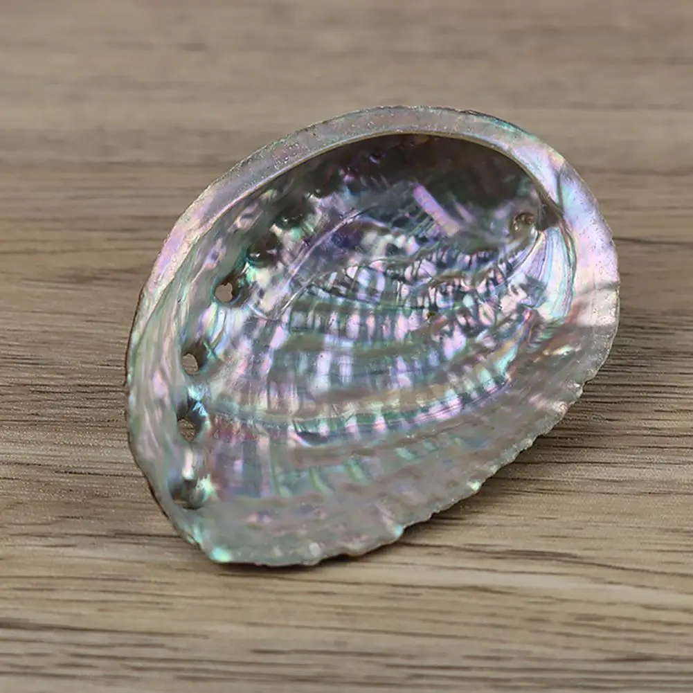 9-13cm Natural Abalone Shell Home Decor Seashell Beach Wedding Ocean Decoration Jewelry Diy Soap Dish Holder Aquarium Landscape natural shell ornaments