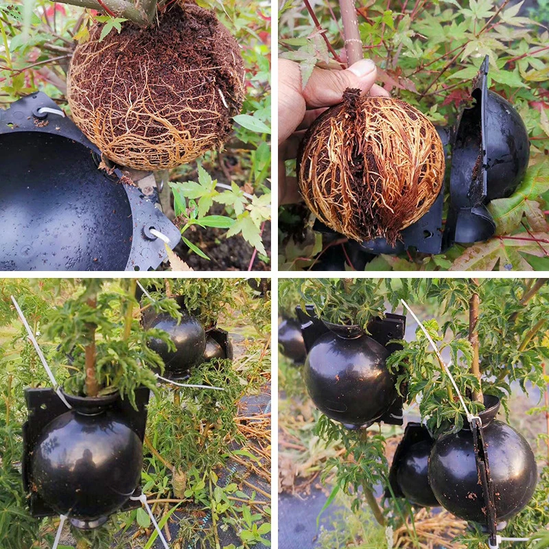 5pcs New 8/12cm Plant Rooting Ball Plant Root Growing Box Grafting Rooting Growing Box Breeding Case For Garden Plant Rooting Box Plant Rooting Pot