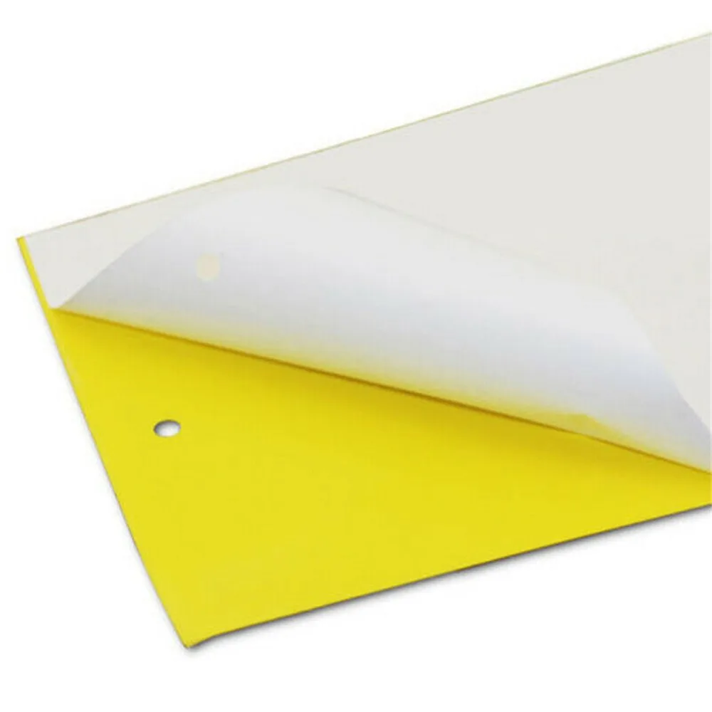 381c23785d0b344cec5d4d16ea80a8c6