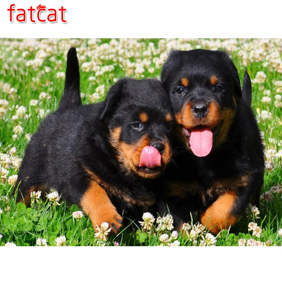 FATCAT D алмазная живопись своими руками вышивка крестом Ротвейлер собака алмазные