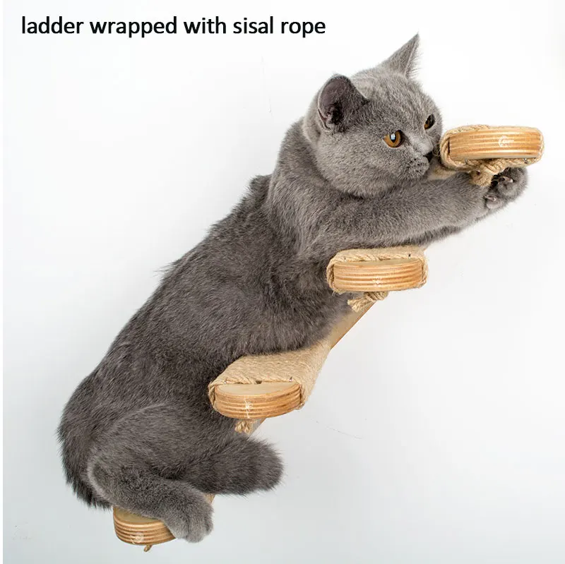 ladder_49