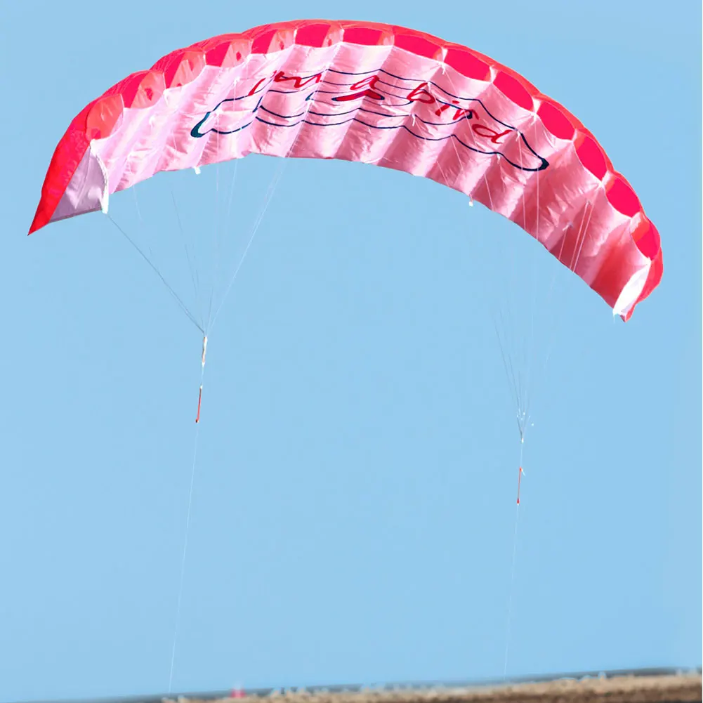 Outdoor Sports Dual Stunt Parafoil Kite Power with Handle 30m Line Beginner
