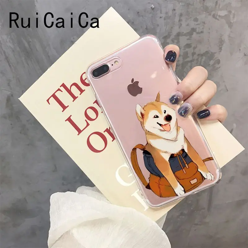 Shiba Inu Dog