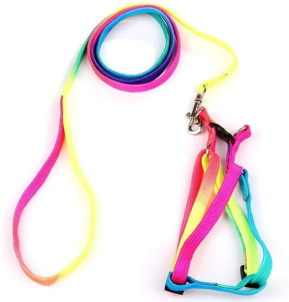 

Bird Harness and Leash Dog Traction Strap Rainbow Adjustable Puppy Walking for Small Dogs Cats Macaw Large Size Bird