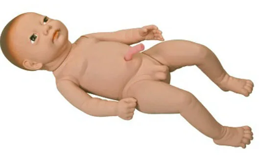 Term fetal con cordón Umbilical, maniquí de bebé de lactancia - AliExpress