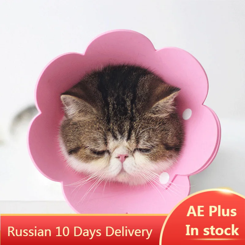 Vendedor Caliente Collar antimordedura con forma de flor para gatos domésticos, protección para perros y cachorros, Collar de recuperación para mascotas bVnbam00l Vendedor Caliente Collar antimordedura con forma de flor para gatos domésticos, protección para perros y cachorros, Collar de recuperación para mascotas bVnbam00l