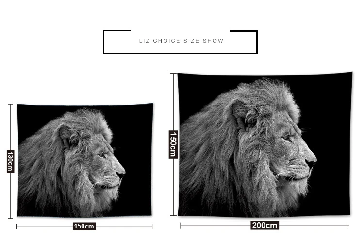 8702705104_642683617