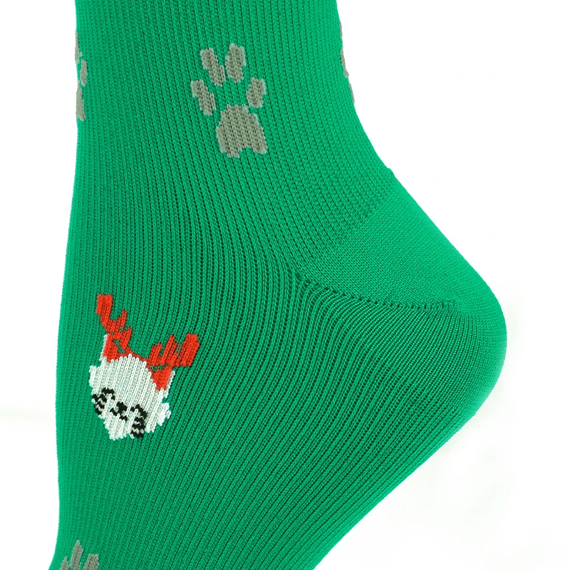 H67bd002497a140d1bc0f75a404568056Y