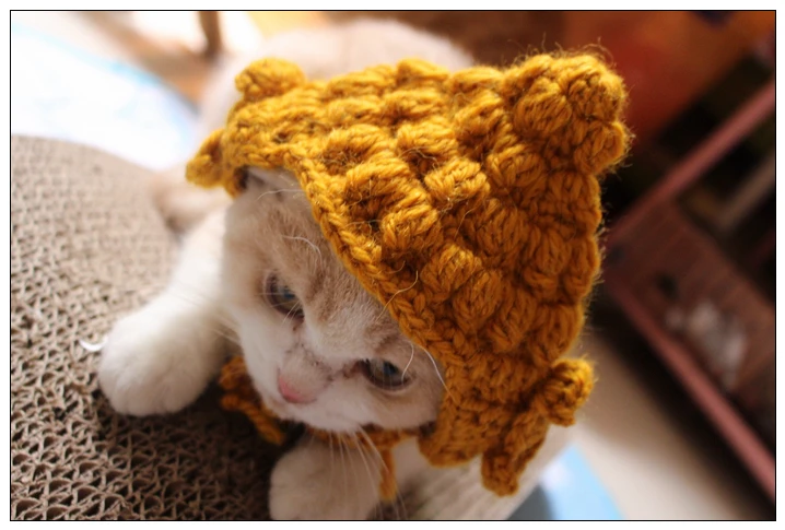 Шапка Будды, кошка, вязаная шапка, милый головной убор для домашних животных, товары для домашних животных, Забавный костюм фурри, модельная шапка для кошек, аксессуары