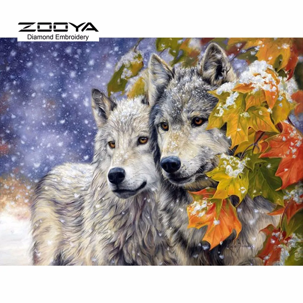 HTB1e3YyMpXXXXalXFXXq6xXFXXXP