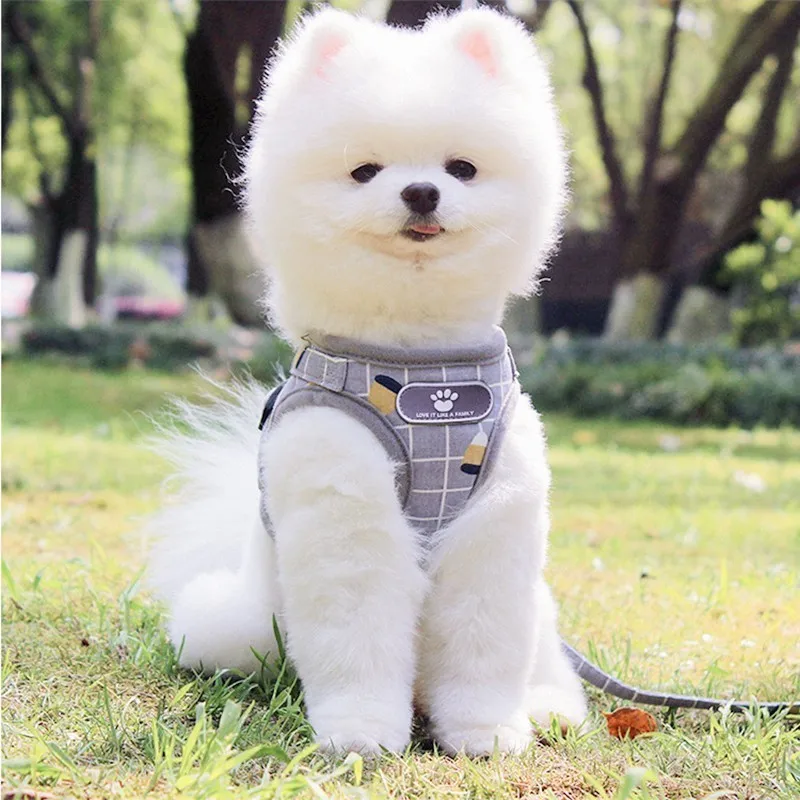 Benepaw-Breathable-Plaid-Small-Dog-Harness-Leash-Set-Lightweight-Mesh-Soft-Pet-Harness-for-Small-Medium (2)