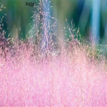 

Ngryise 3000pcs Muhlenbergia capillaris