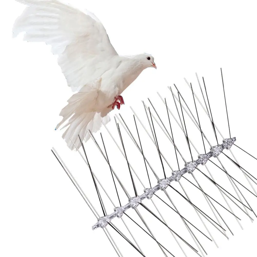 

Stainless Steel Pigeon Repellent Spikes Polycarbonate Starlings Pest Control for Fruit Garden