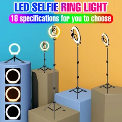 Anneau lumineux LED avec trépied, USB, 5V, intensité variable, éclairage annulaire pour photographie, vidéo en direct, Selfie 
