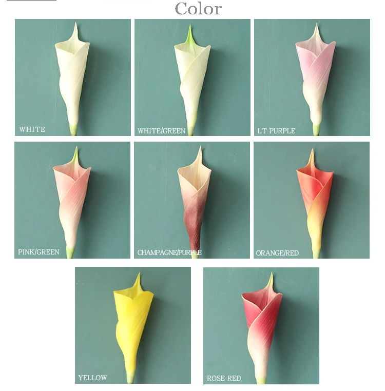 13858432392_1245478559