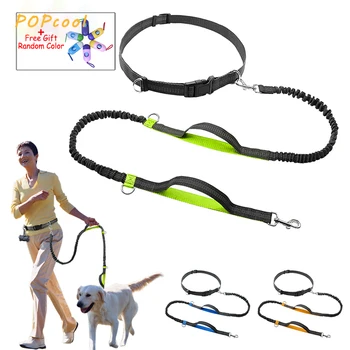 

Elastic Waist Dog Leash Running Jogging Dog Sport Product Adjustable Nylon Dog Leash With Reflective Strip Pet Accessories