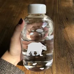 Whale Cup 600ML Frosted Glass Mup Leak-Proof Fashion Mineral Water Bottles  Drinkware Camping Travel Easy to Carry Sport Bottle A4