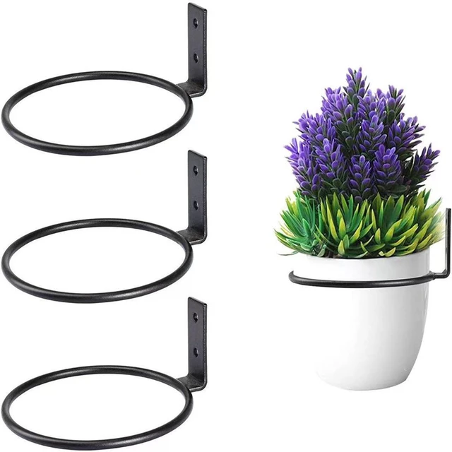 Wall Mounted Plant Holder Ring