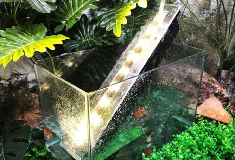 QQ截图20200310140407