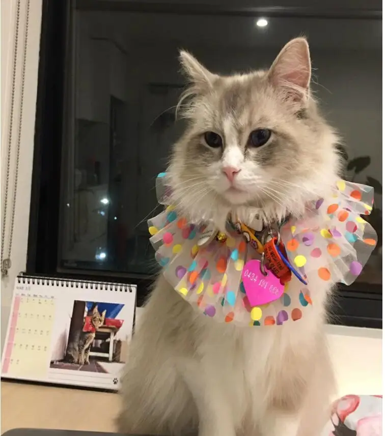 QQ截图20200407113014