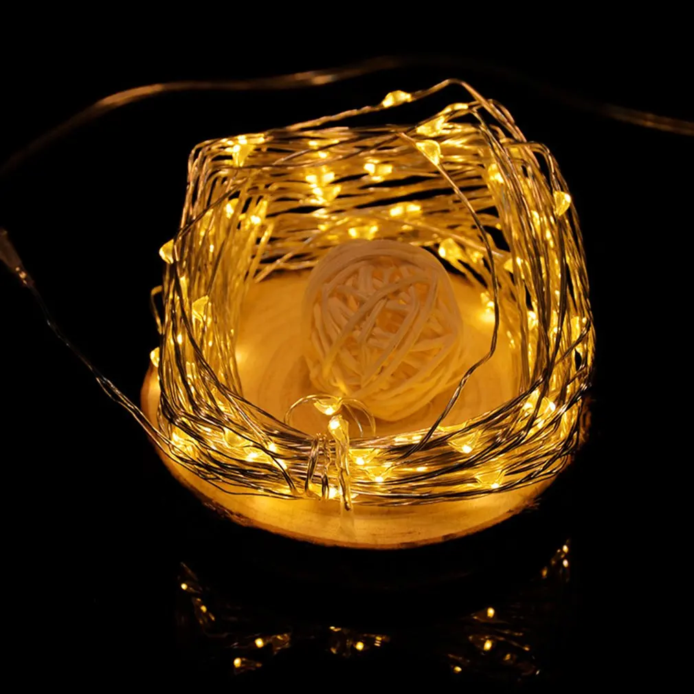 

Indoor Outdoor Copper Wire Decorative 100 LED String Lights