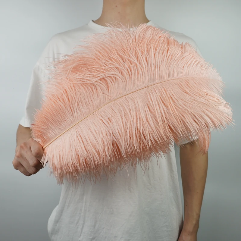 Wholesale 10Pcs/Lot New Colorful Ostrich Feathers White Black Feather Decor Plumes Vases Party Wedding Accessories Decoration