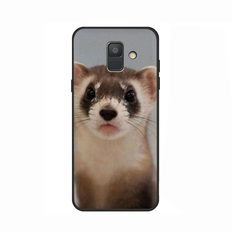 B1 Ferret Горностай мягкий чехол для мобильного телефона чехол для samsung Galaxy A6 7 8 9 A10 30 40 50 70 J6 - Цвет: B1