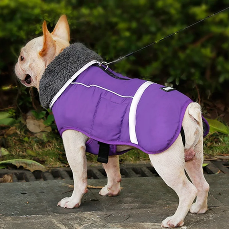 Зимняя одежда для собак, водонепроницаемая куртка, светоотражающие пальто для собак, для собак, для прогулок на открытом воздухе, поводок с пряжкой, кольцо, французская одежда для бульдога