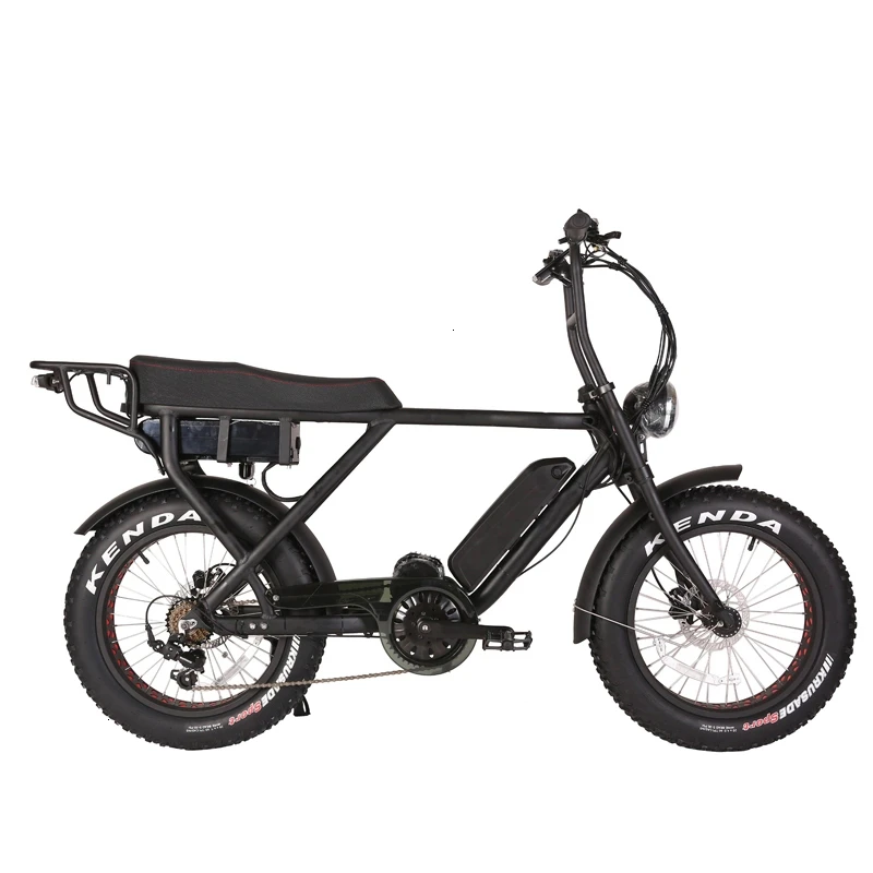 cargo fat bike