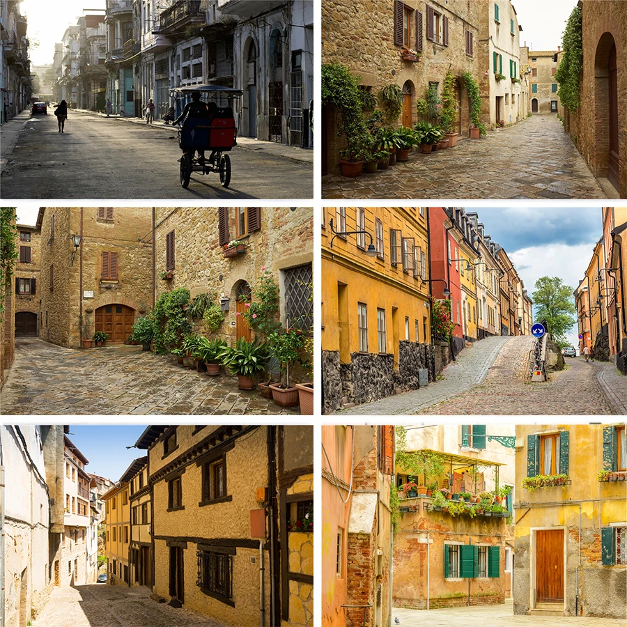 Фон для фотосъемки Nitree в горшке виноград Старый город аллея коридор живописный