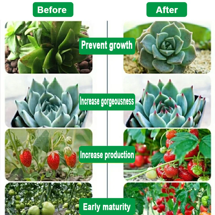 Espectro Completo, Lâmpada Crescente, Interior Phyto Veg