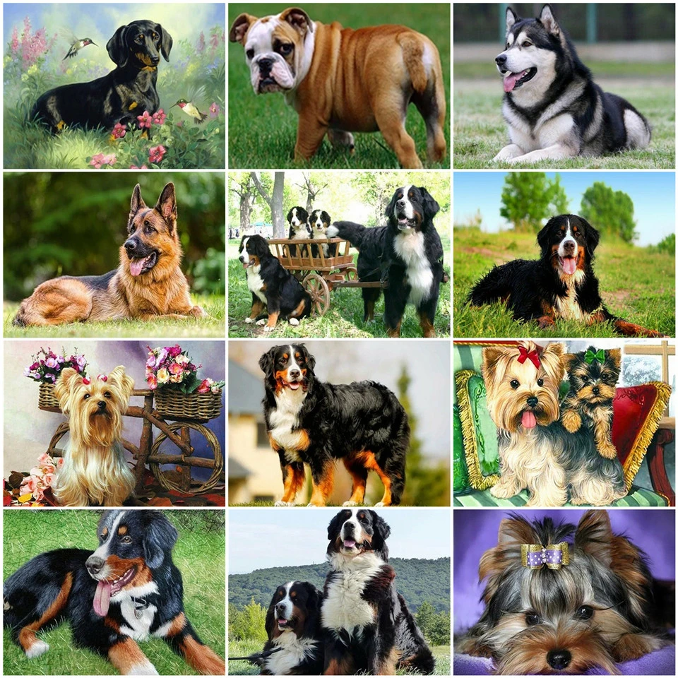 AZQSD Unframe DIY Oil Painting By Numbers Animal Home Decoration Acrylic Paint Coloring Dog Handpainted Gift | Дом и сад