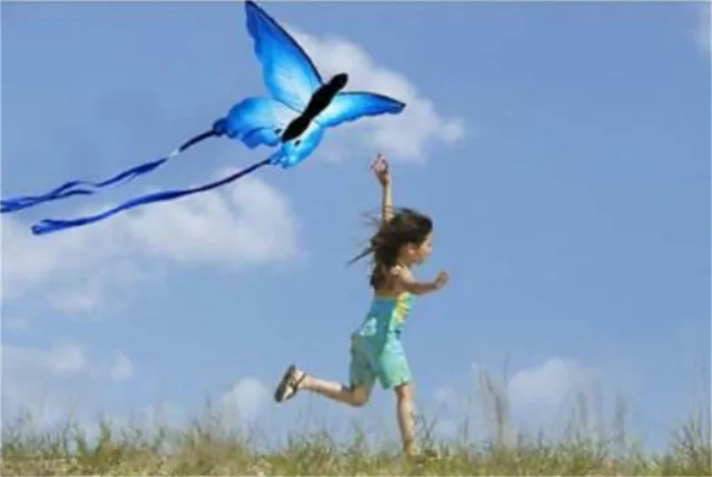 Colorful Beautiful Butterfly Kite Outdoor Games and Activities Single Line Kite Kids Flying Kite for Adults Toys For Kids Gift 4
