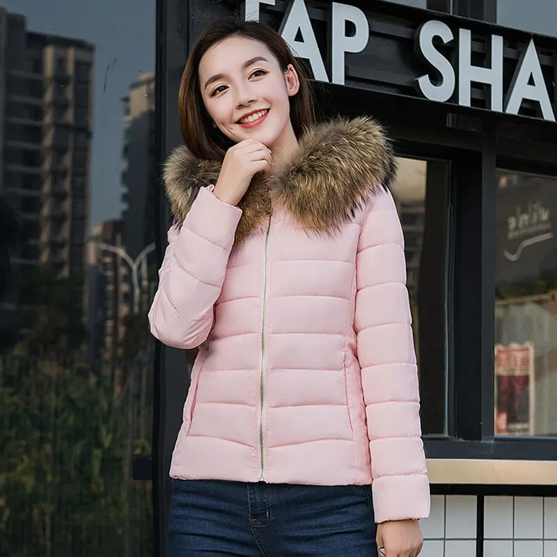 Cotton Coat Winter Korean-style New Style WOMEN'S Cotton Padded Clothing Women's Short Slim Fit Cotton-padded Jacket down J
