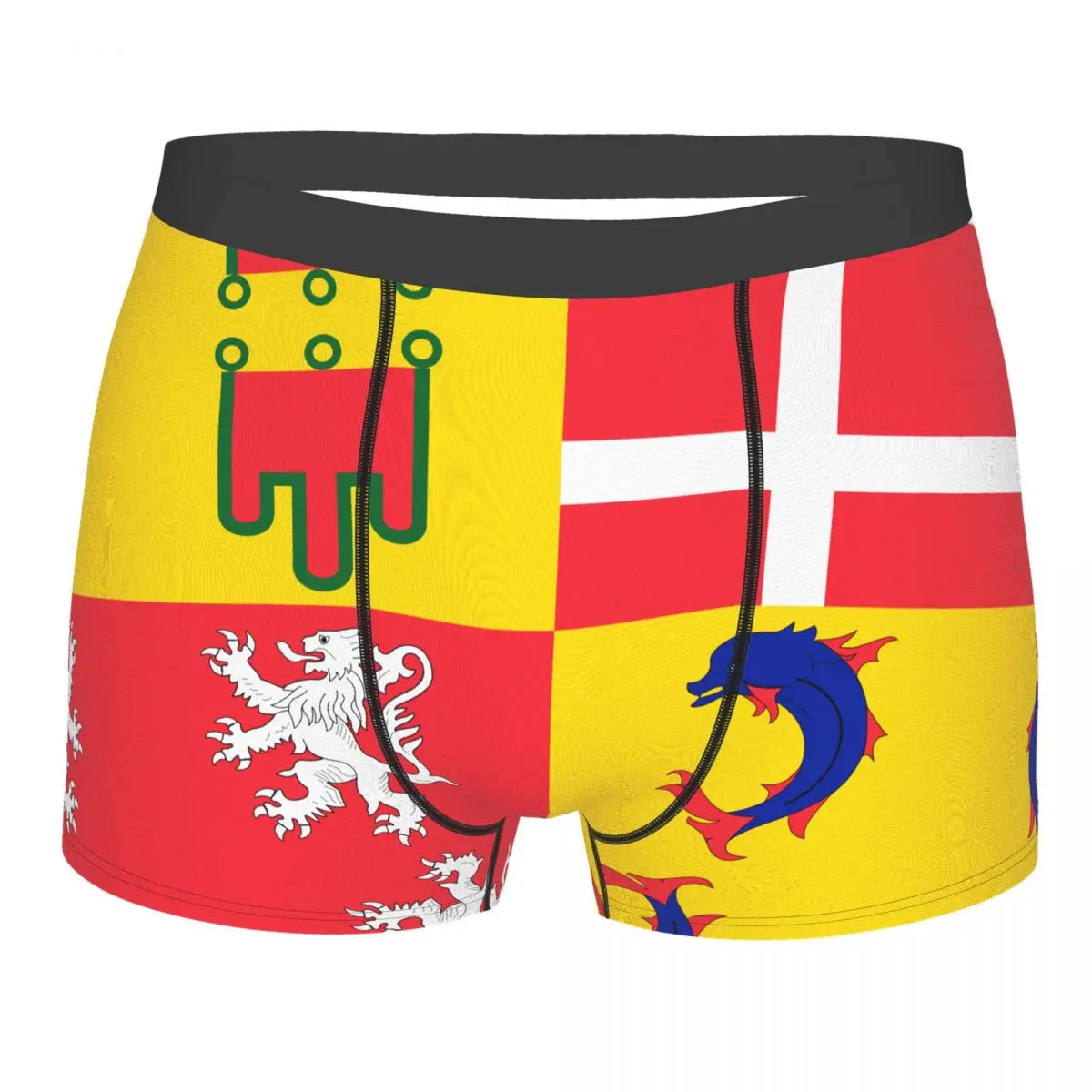 

Flag Of Auvergne-Rhône-Alpes Men's Boxer Briefs Flags of the regions of France Humor Graphic Men's boxer leggings