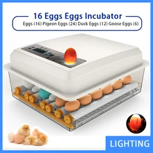  Eggs Incubator 16 Eggs Digita Mini Automatie Incubatores with Turner for Hatching Turkey Goose Quail Chicken Egg Hatcher Machine 