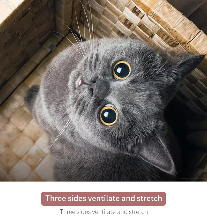 H9ef14c1123a14ce1aad4cf1b8c854317B