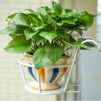 

Iron Wall Hanging Flower Stand Metal Flower Display Rack Flowerpot Garden Basket Home Garden Decoration Rack