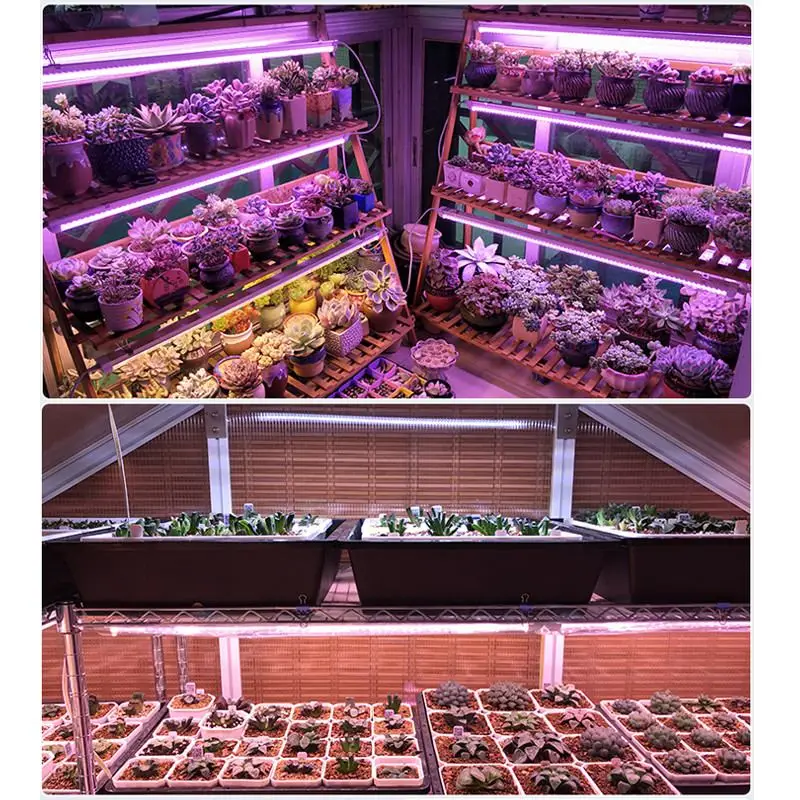 LED Grow Light 50W 100W Full Spectrum Phyto Flood lights Iodine Lamp AC 220V LED Grow Lamp Waterproof ip65 Support