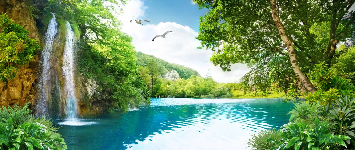 High Quality Renovação da Casa