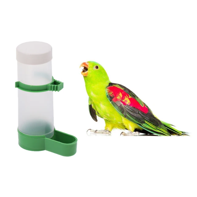 5PCS Pet Bird Automatic Water Feeder Parrot Canary Finch Drinking Fountain 1