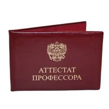 

Cover passport professor of eco-leather, hand making