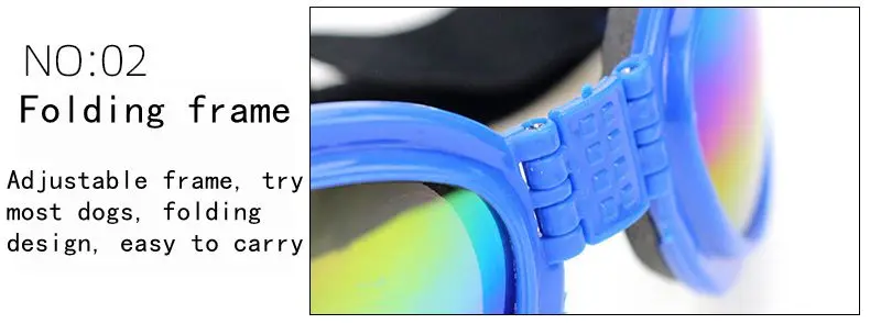 13550065700_817409337_副本