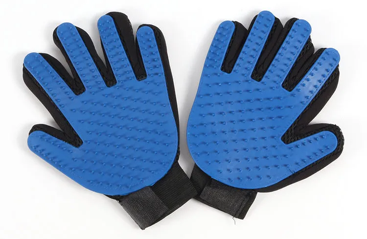 8937299919_1771561887