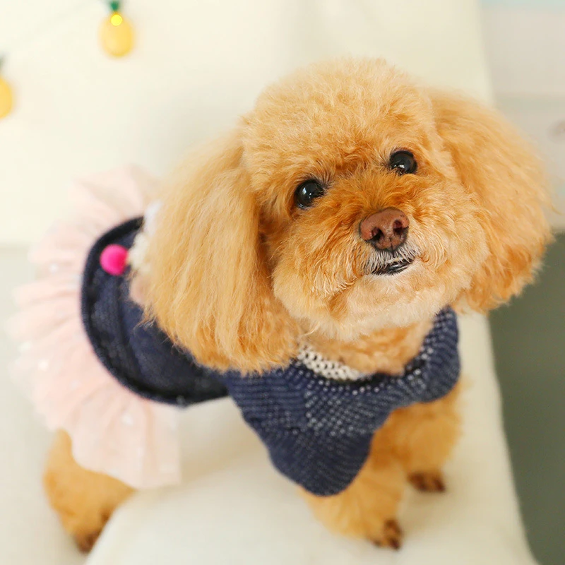 Зима Чихуахуа кружева собака платье одежда для домашних животных маленькие собаки розовые звезды пачка Милая Теплая юбка Снежинка шары куртка для собак